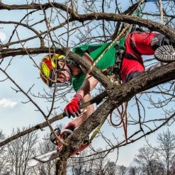 Vertical Supply Co Protos Integral Arborist Helmet Arborists & Tree Care