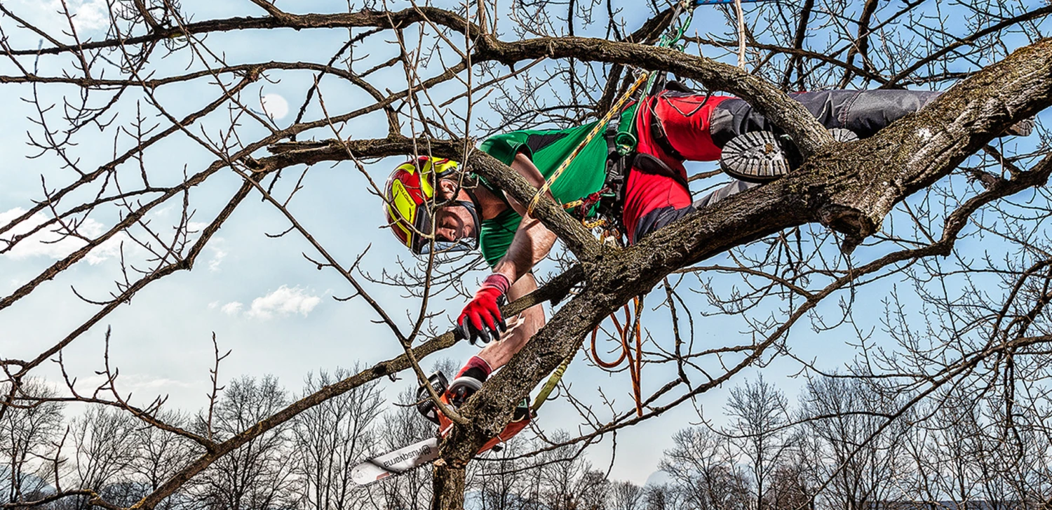 PRO_PROTOS_1.jpg Vertical Supply Co Protos Integral Arborist Helmet Arborists & Tree Care